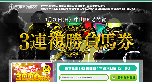 TURF VISION(ターフビジョン)